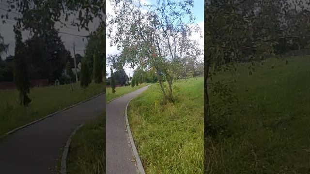 Церковь Рождества Пресвятой Богородицы, сегодня 25.08.2026.