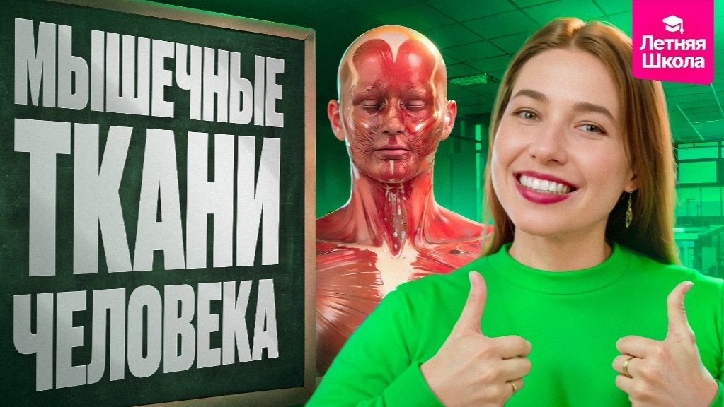 4. Мышечные ткани человека | Stepenin.ru