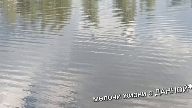 TASSOВЫШЕПРЕМЬЕРА 2026.ОЗЕРО МОХОВОЕ. ПЛАВУЧИЙ ОСТРОВ.... КРАСИВАЯ ПРИРОДА.