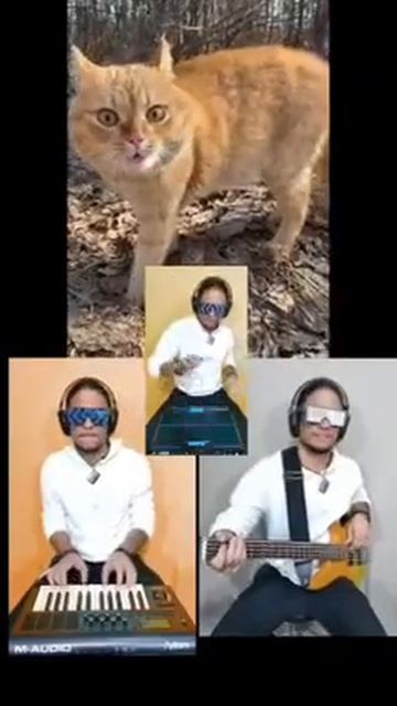 Не пожалейте время на этот шедевр 😺