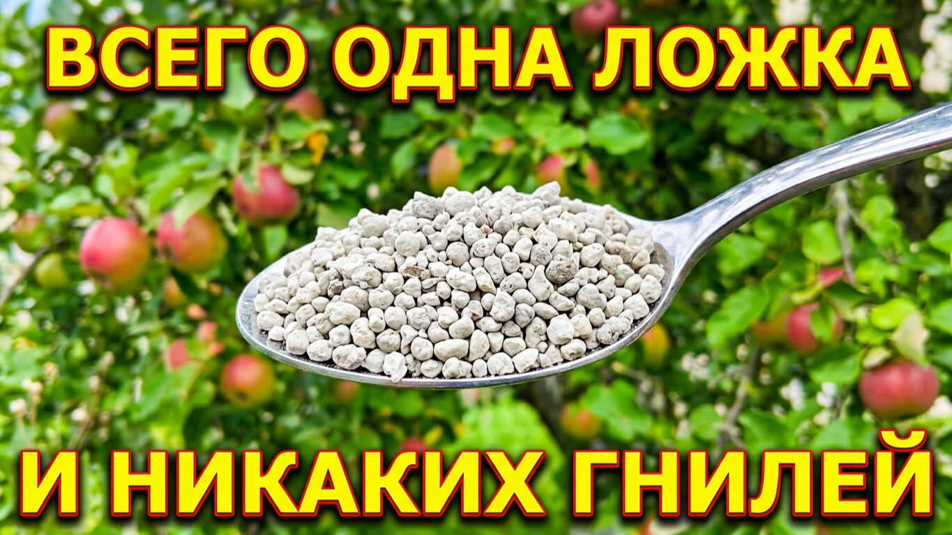 🥄ОДНА ЛОЖКА ЭТОГО СРЕДСТВА И ВЫ ЗАБУДЕТЕ ПРО ГНИЛИ! Супер средство от всех болезней