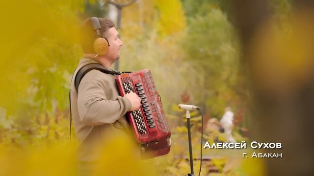 Проект Тимура Ведерникова - Старый клён