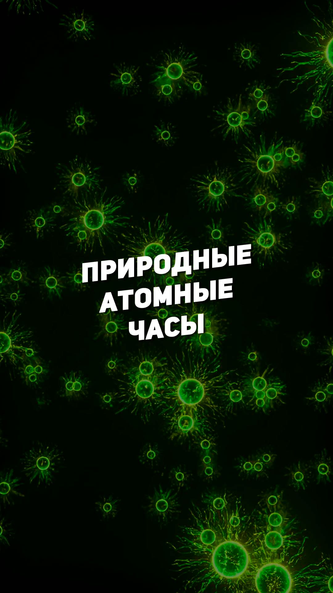 ПРИРОДНЫЕ АТОМНЫЕ ЧАСЫ  THE SPACEWAY
