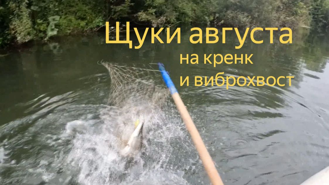 Щуки малой реки в августе. Две коротких рыбалки.