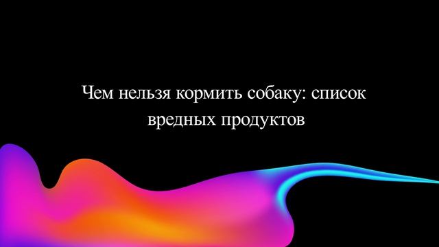 Чем нельзя кормить собаку: список вредных продуктов