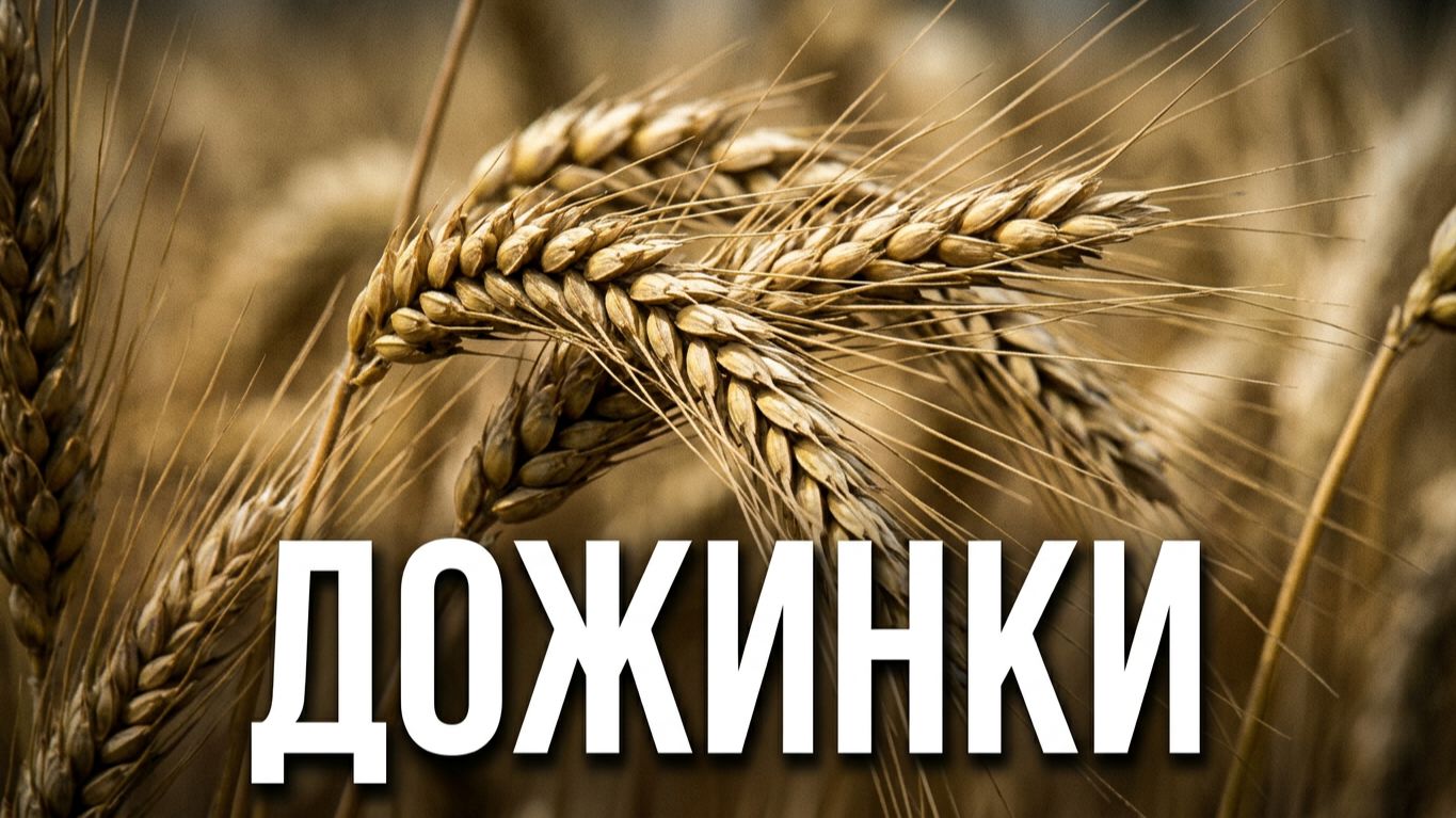 ПЕРВЫЕ В ОБЛАСТИ