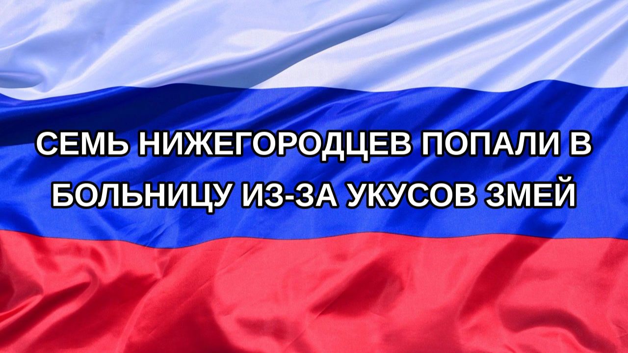 |Н. РФ| Семь нижегородцев попали в больницу из-за укусов змей