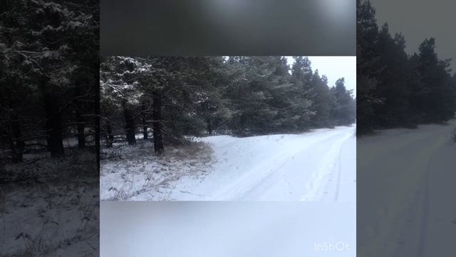 31 декабря 2018 г.