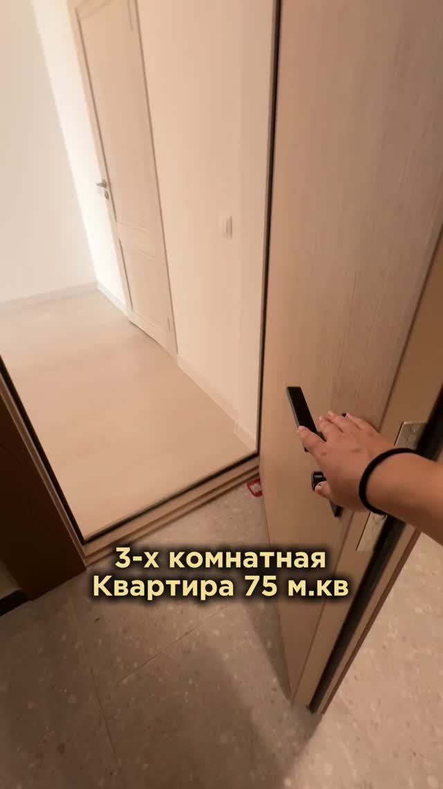 Квартира 216