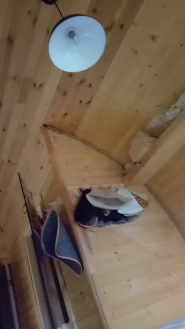 Барс