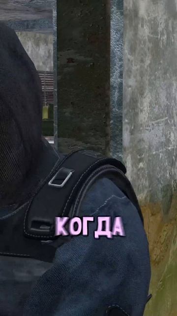 Глупые Правила в Сталкер