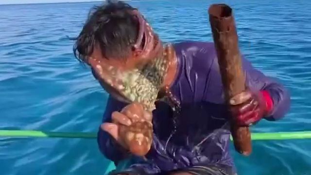 Осьминог вцепился в лицо рыбака на Филиппинах