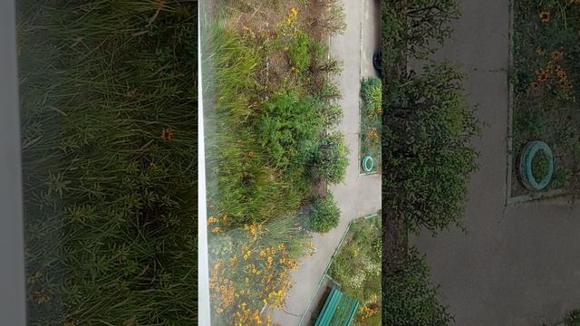 Ещё одна Душа осталась без дома🐈⬛