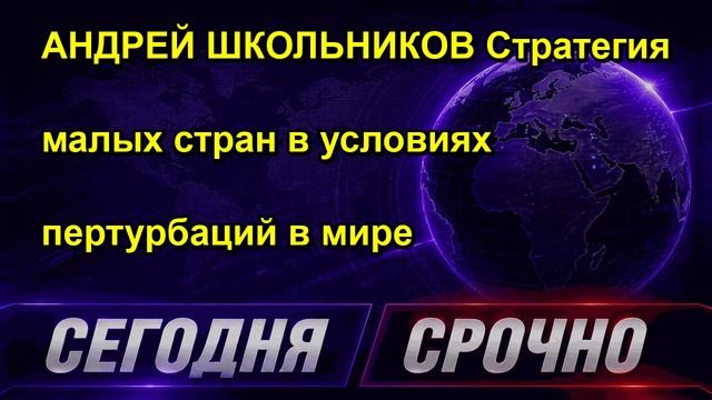 АНДРЕЙ ШКОЛЬНИКОВ Стратегия малых стран в условиях пертурбаций в мире