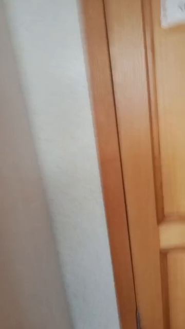 #РоссияПлыви Вот моя комната. Артём Баканов Водные Виды Спорта. Баканов Григорий Бассейн наше всё