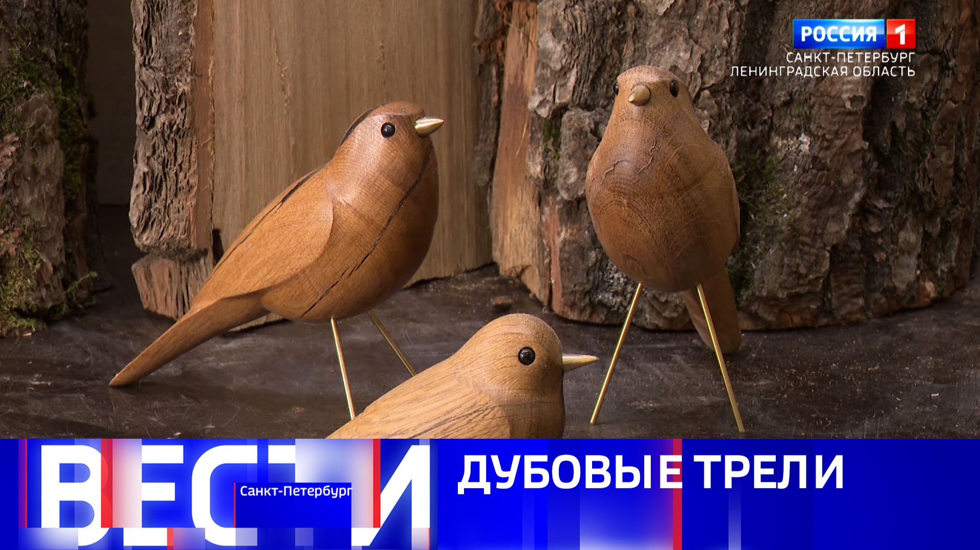 Вести Санкт-Петербург. Выпуск 09.30 от 25.08.2026