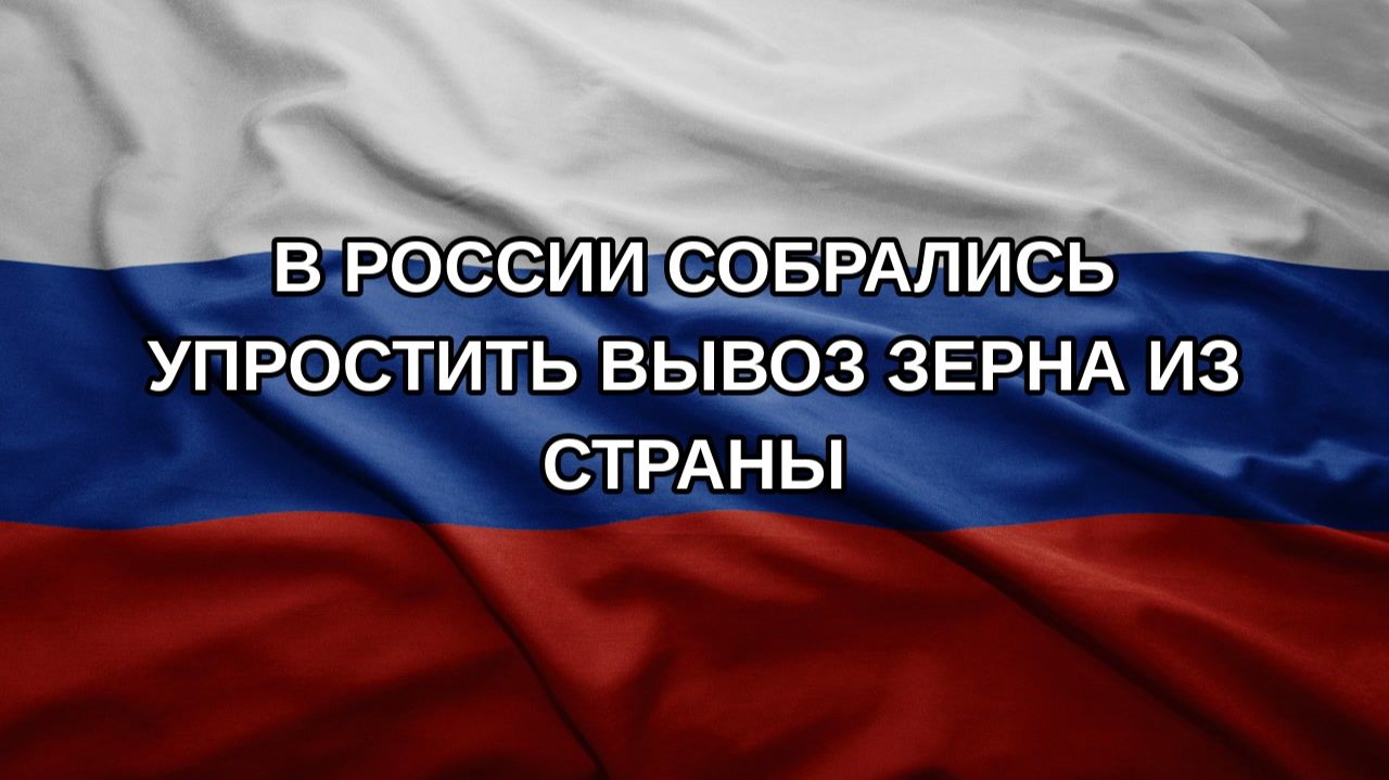 В России собрались упростить вывоз зерна из страны