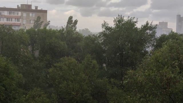 Августовские дожди (Воронеж)
