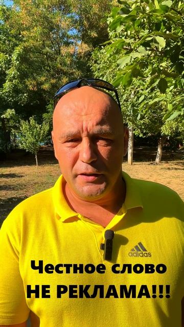 про стоматологию...