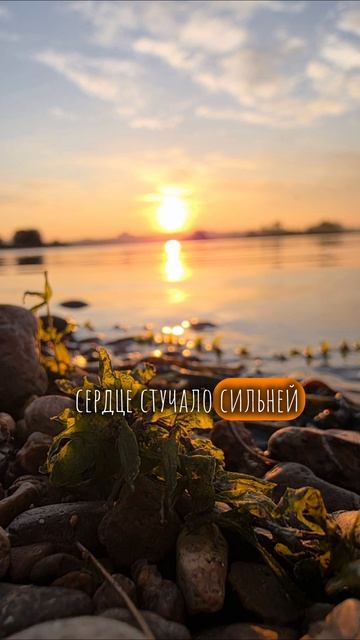Ирэн Борецкая - Допивая рассвет