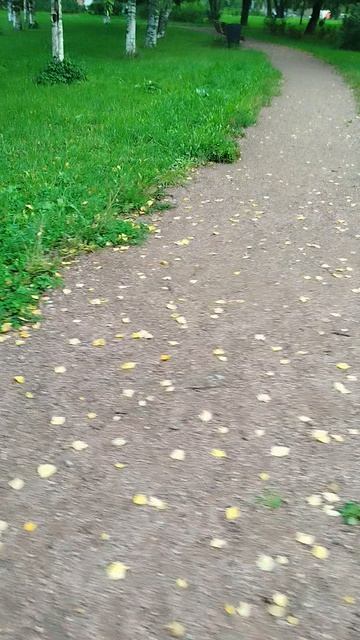 погода из Санкт-Петербурга