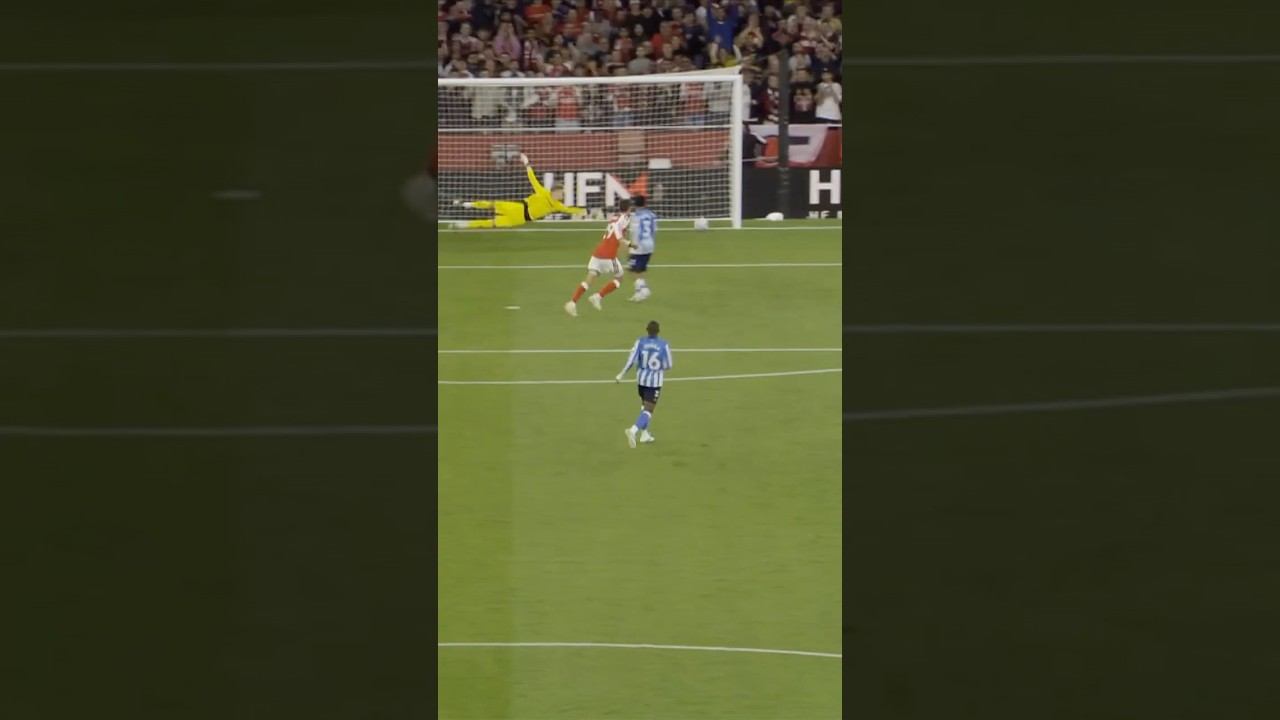 RELENTLESS FIGHT. PERFECT ASSIST. FANTASTIC FINISH!