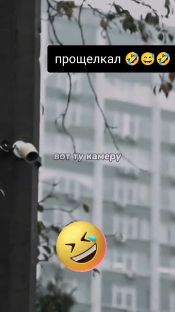 Пес