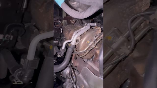 VID_20260825_180228_866.mp4