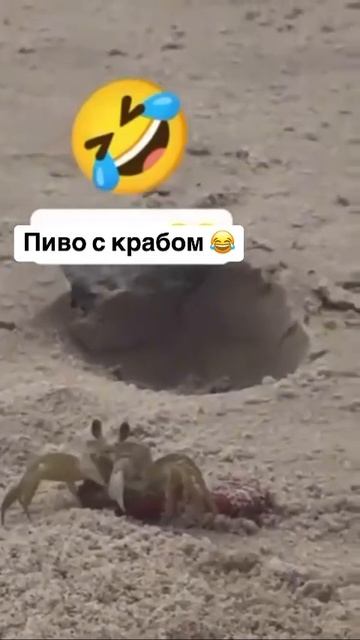 Собутыльник 😂
