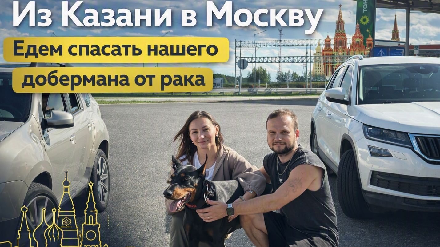 Едем в Москву лечить нашего добермана от рака