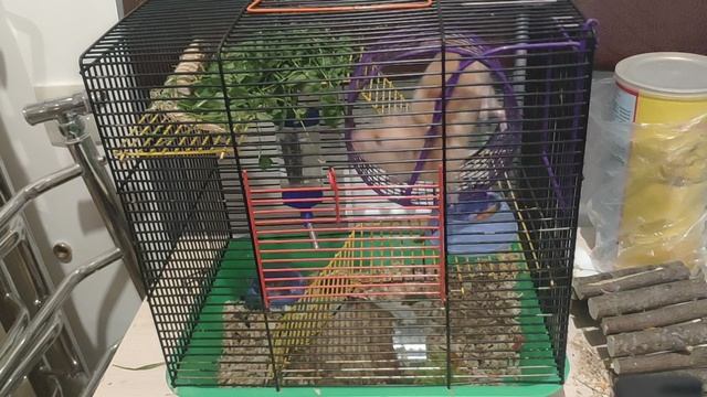 VID_20260818_203209