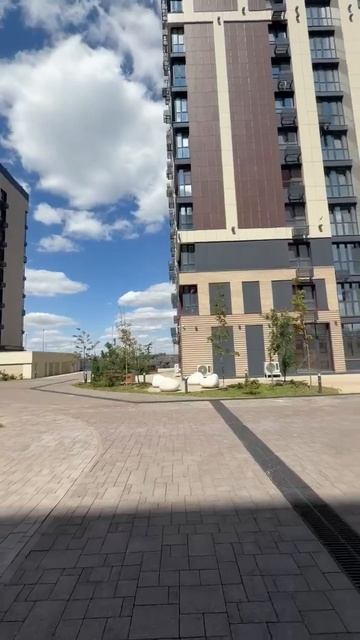 1000654314.mp4