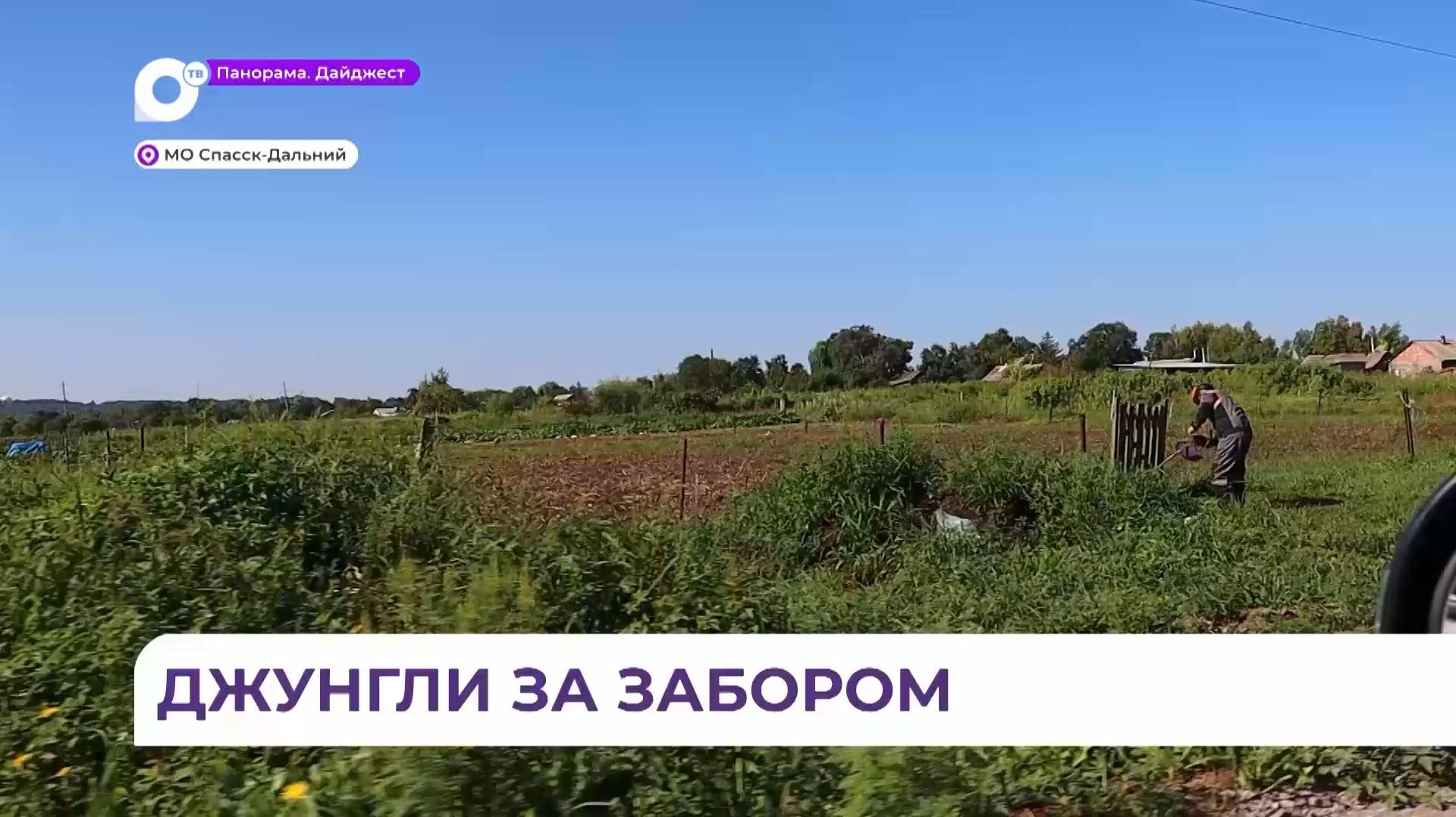 Жителей частных домов штрафуют за нескошенную траву в Спасске-Дальнем