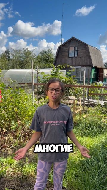 Хороший урожай