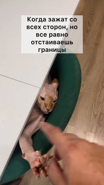 Пограничник