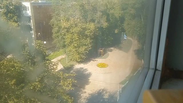 Август. Лето. Солнце