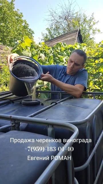 Черенки винограда  +7(959)-183-01-40 Евгений РОМАН