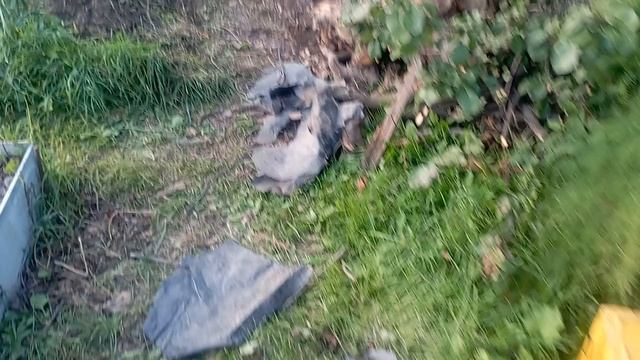 Полный бардак, готовим место под баню. 24 августа