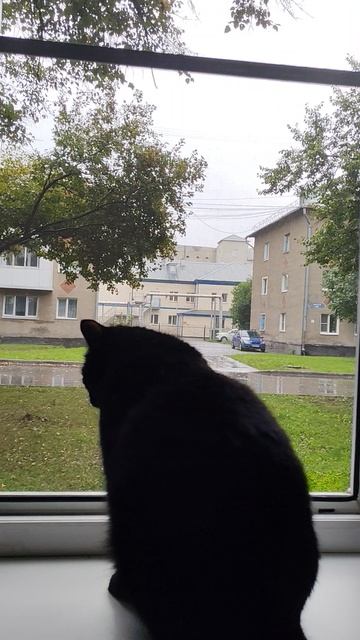 Лето заканчивается