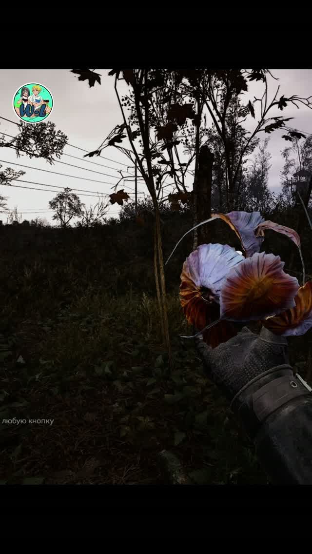 S.T.A.L.K.E.R. 2: АРТЕФАКТ Битый Камень