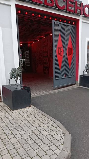 Бассет: все в СЕНО 🤣