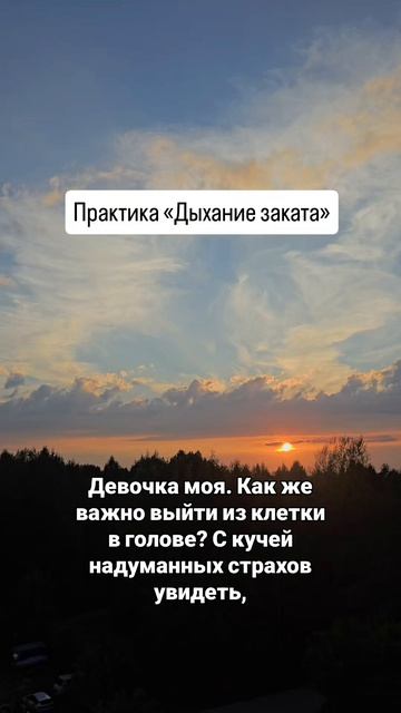 практика