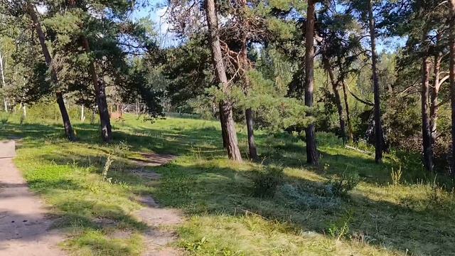 ну очень живописное место. Навесной мост над деревьями. Монахи. Отличная прогулка.