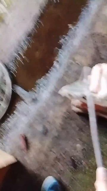 Дом цыгана (1часть)