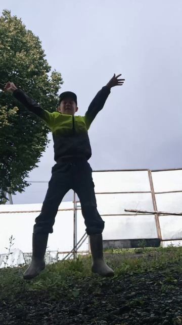 тренд