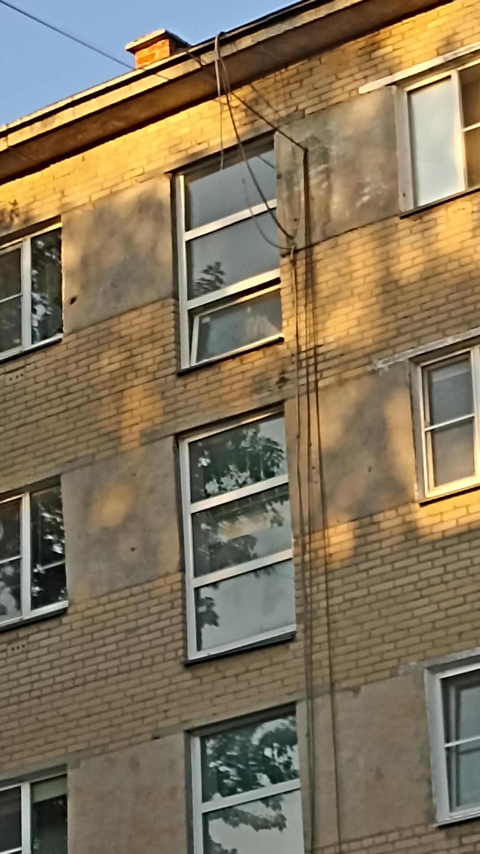 трендов вроде