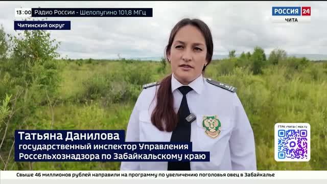 Инспекторы Россельхознадзора зафиксировали зарастание сельхозугодий в Забайкалье:
