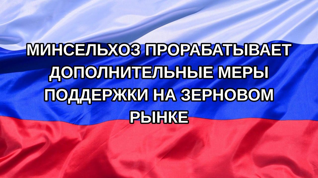 |Н. РФ| Минсельхоз прорабатывает дополнительные меры поддержки на зерновом рынке