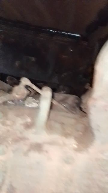 1000026149.mp4