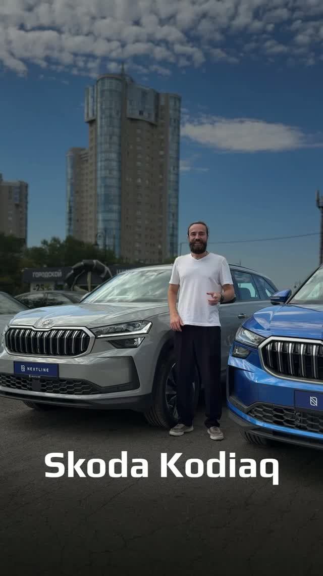Skoda готовое